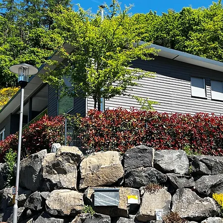 Schieferterrasse - Waldsee - Tatil Evi