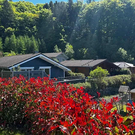 Schieferterrasse - Waldsee - Tatil Evi Rieden (Mayen-Koblenz)