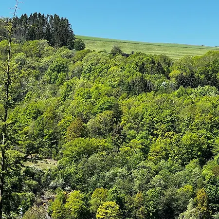 Ferienhaus Schieferterrasse - Waldsee - Rieden (Mayen-Koblenz)