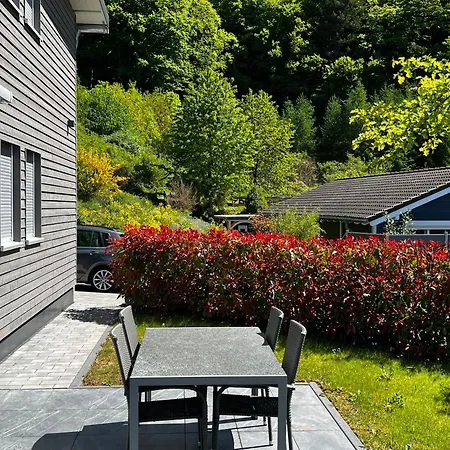 Schieferterrasse - Waldsee - Tatil Evi Rieden (Mayen-Koblenz)