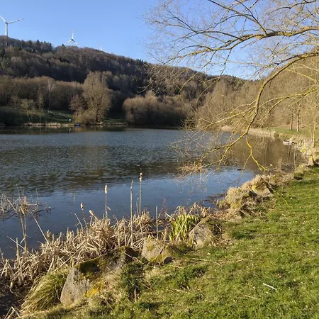 Schieferterrasse - Waldsee - Tatil Evi Rieden (Mayen-Koblenz)