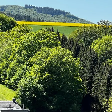 Ferienhaus Schieferterrasse - Waldsee -