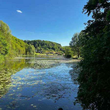 Schieferterrasse - Waldsee - *