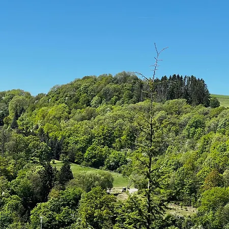 Schieferterrasse - Waldsee - * Rieden (Mayen-Koblenz)