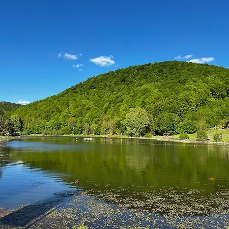 Schieferterrasse - Waldsee - Prázdninový dům Rieden (Mayen-Koblenz)