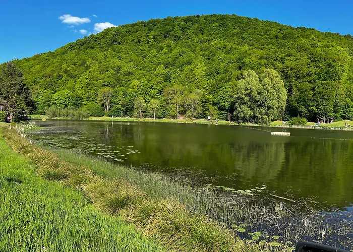 Schieferterrasse - Waldsee -