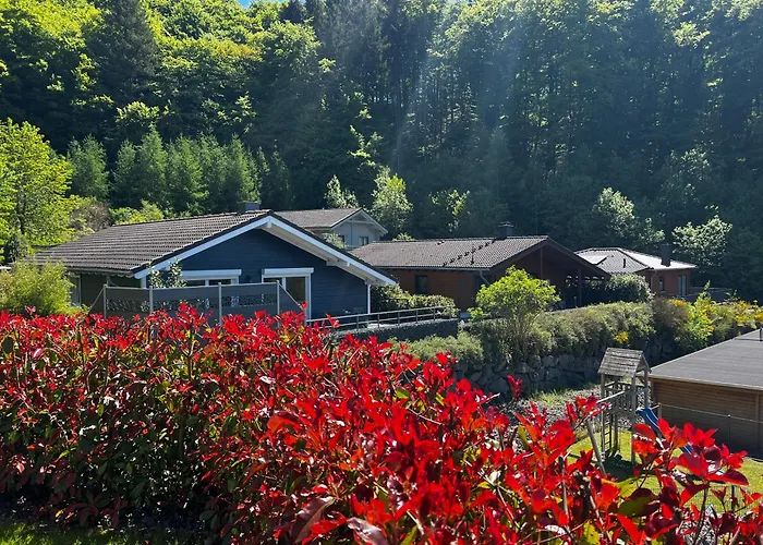 Schieferterrasse - Waldsee - Nyaraló Rieden