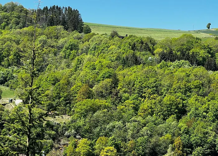 Nyaraló Schieferterrasse - Waldsee - Rieden