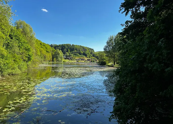 Schieferterrasse - Waldsee - *