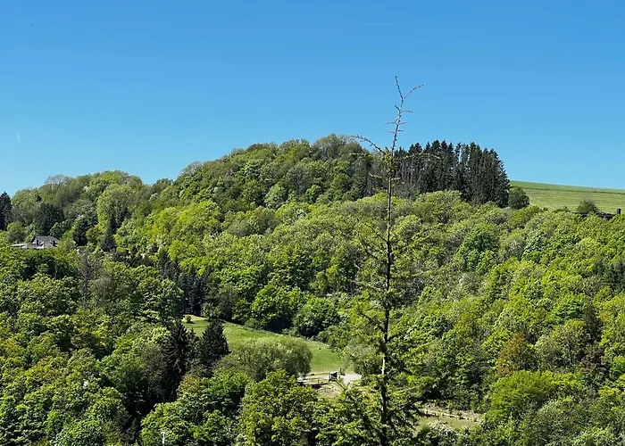 Schieferterrasse - Waldsee - * Rieden